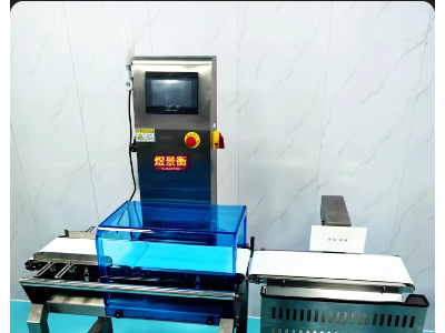 流水线自动态检重秤在线剔除称重机输送皮带秤分拣机滚筒秤复检秤